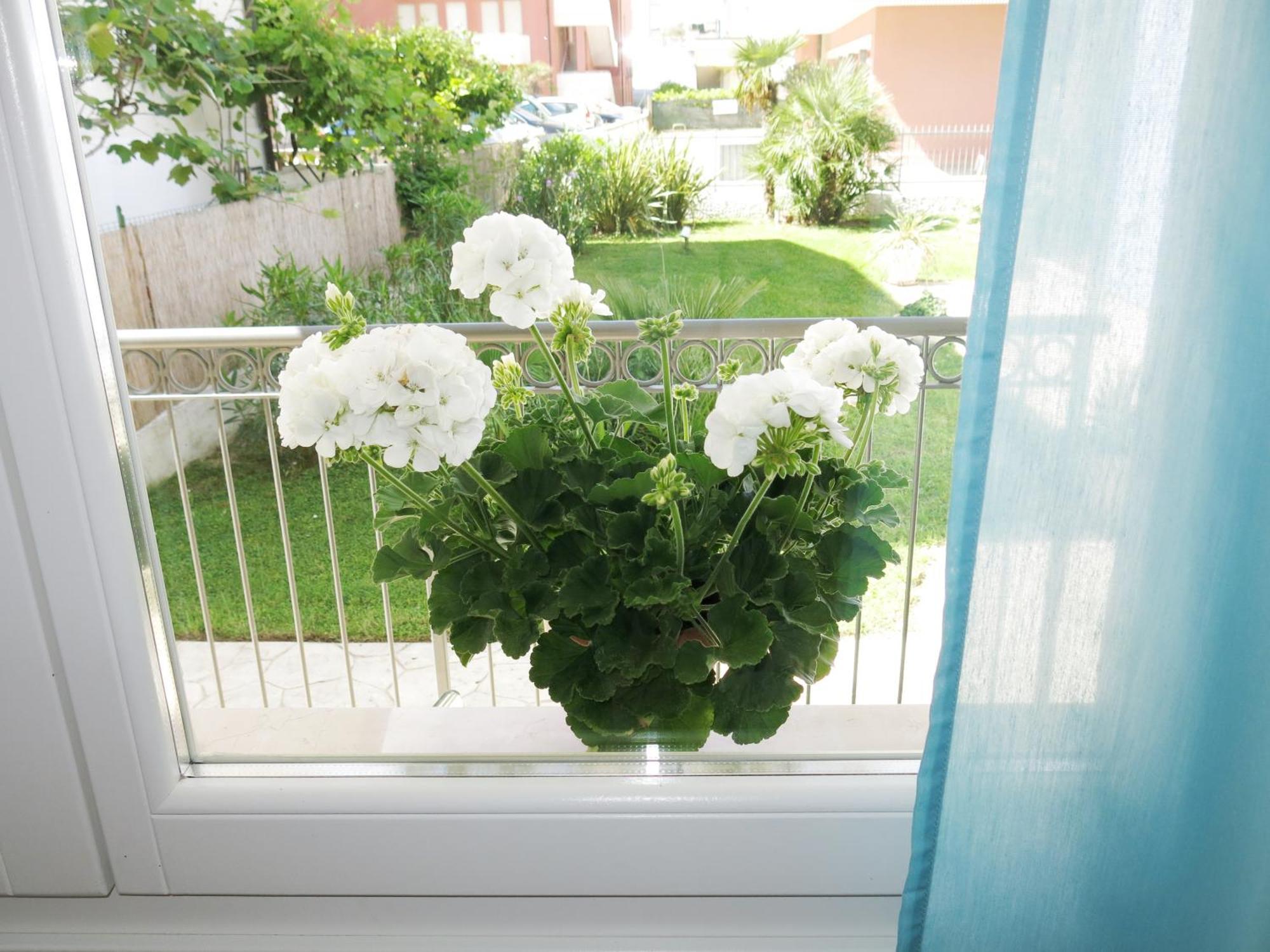 Residence Amarein Caorle Ngoại thất bức ảnh