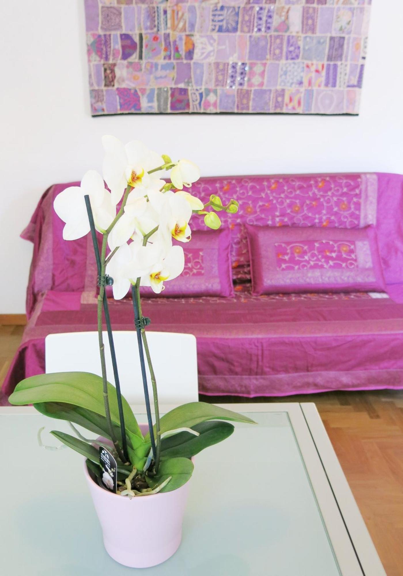 Residence Amarein Caorle Ngoại thất bức ảnh